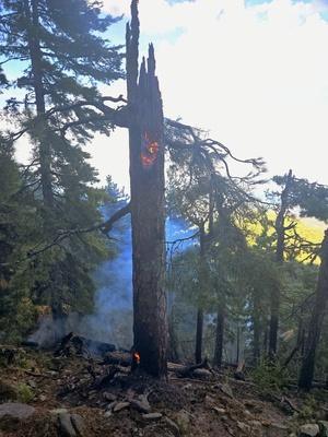 Haute-Corse : plusieurs feux encore sous surveillance