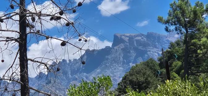 U tempu in Corsica