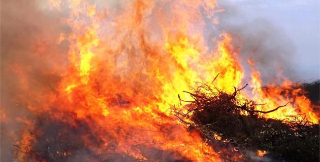 Aleria : un incendie parcourt 3,5 hectares à Teppe Rosse