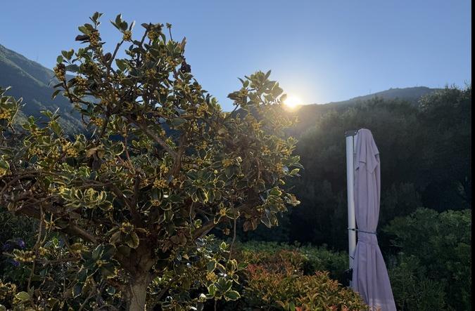 U tempu in Corsica