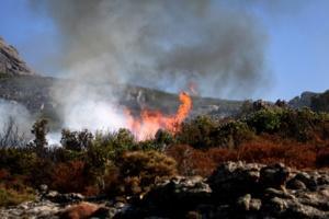 Incendies en Haute-Corse : 55 hectares parcourus à Erbajolo et Tallone Incendies en Haute-Corse : 55 hectares parcourus à Erbajolo et Tallone