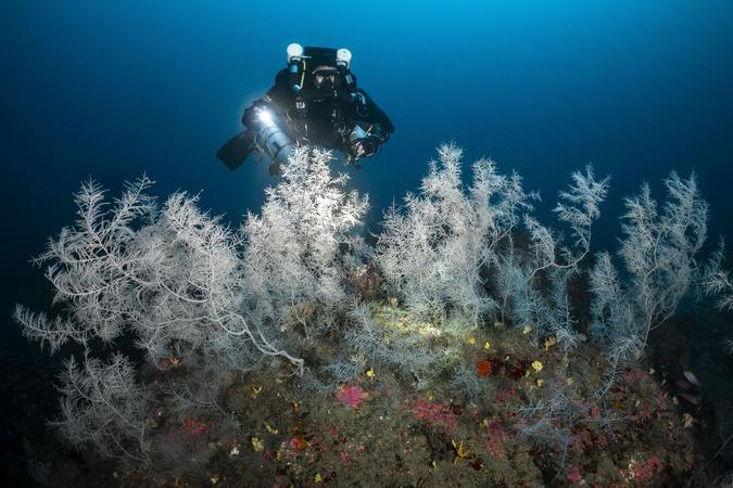En Corse, une expédition pour établir un “point zéro” de l’état des eaux méditerranéennes