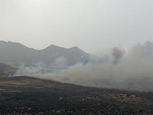 Haute-Corse : un incendie attisé par le vent menace des habitations à Calenzana