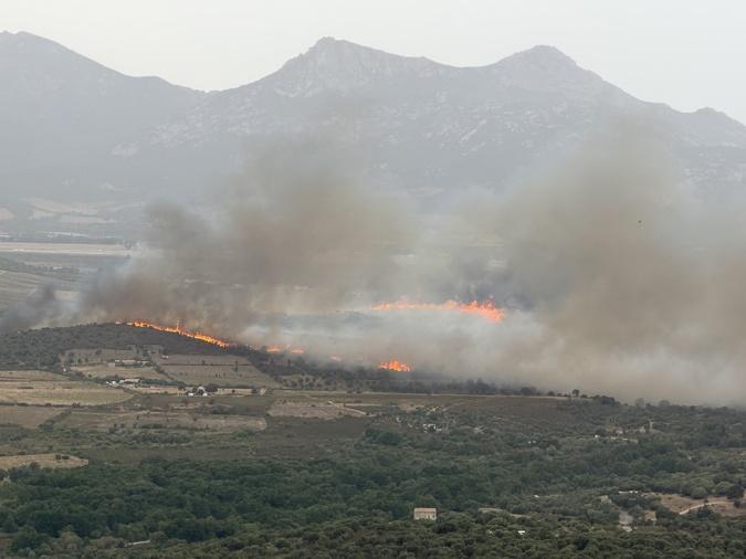 Haute-Corse : un incendie attisé par le vent menace des habitations à Calenzana