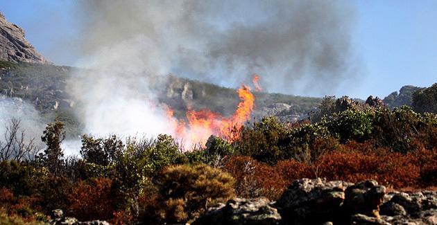 Cagnanu : un incendie parcourt 10 à 15 hectares de maquis