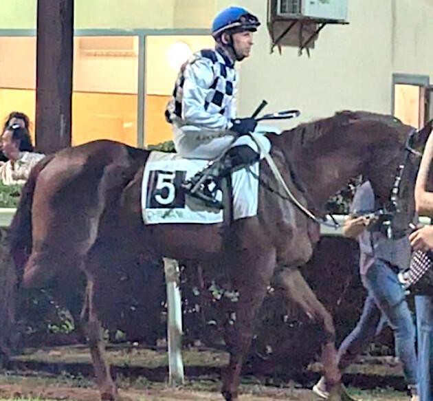 Hippisme - Alexandre Lastrajoli troisième en Sardaigne Hippisme - Alexandre Lastrajoli troisième en Sardaigne