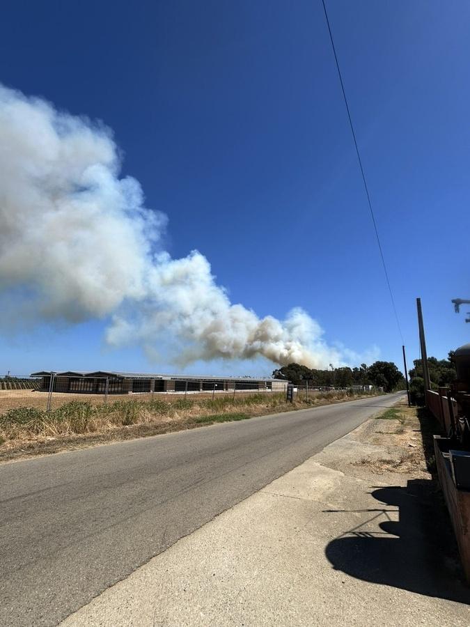 Aleria : un incendie se déclare au lieu-dit Mavela, plus de 30 hectares déjà parcourus