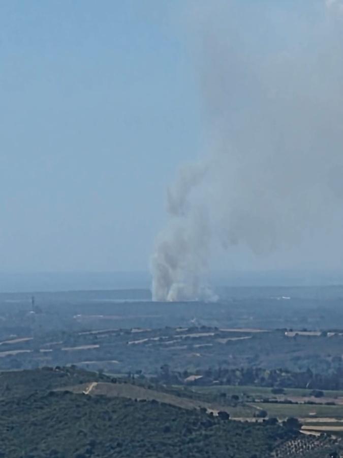 Aleria : un incendie se déclare au lieu-dit Mavela, plus de 30 hectares déjà parcourus