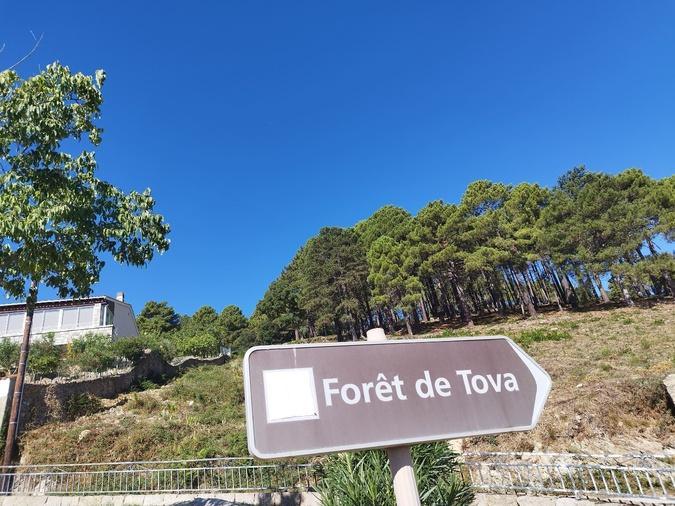 La base aérienne 126 s’engage à préserver les mouflons de ses survols dans le massif de Tova La base aérienne 126 s’engage à préserver les mouflons de ses survols dans le massif de Tova