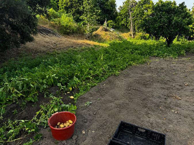 1,3 million d’euros d’aides pour soutenir l’agriculture corse après un été particulièrement éprouvant 1,3 million d’euros d’aides pour soutenir l’agriculture corse après un été particulièrement éprouvant