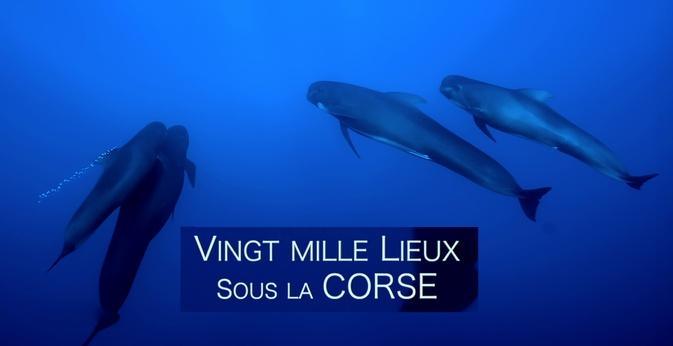 France 3 Corse ViaStella fait sa rentrée entre nouveautés, grands rendez-vous politiques et essor du numérique France 3 Corse ViaStella fait sa rentrée entre nouveautés, grands rendez-vous politiques et essor du numérique