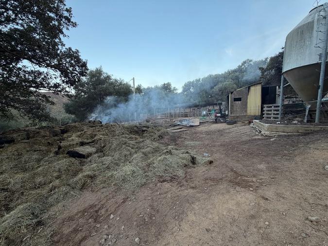 Aregnu : une bergerie et 300 m³ de foin ravagés par un incendie dans la nuit