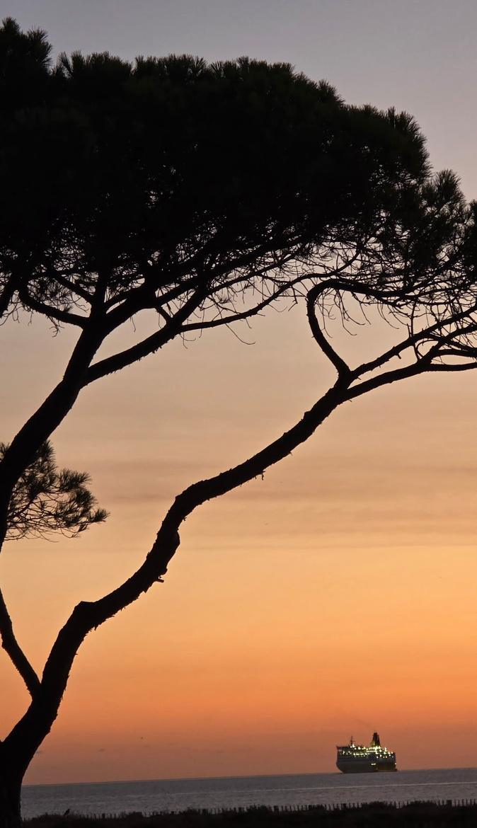 U tempu in Corsica