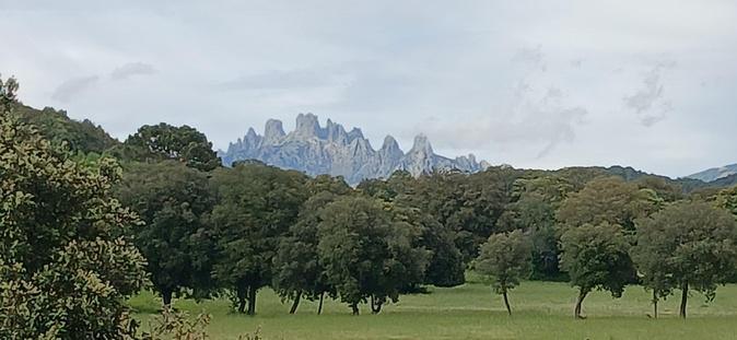 U tempu in Corsica