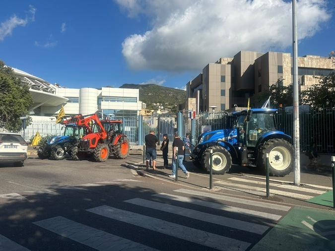 Colère des agriculteurs : suivez les manifestations prévues en Corse ce jeudi