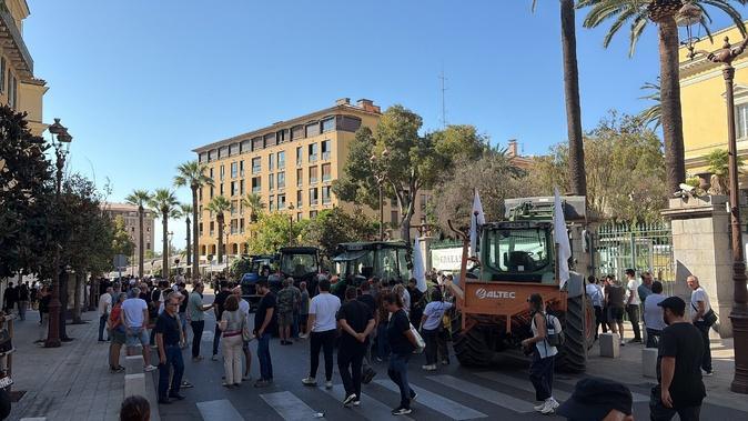 Colère des agriculteurs : suivez les manifestations prévues en Corse ce jeudi Colère des agriculteurs : suivez les manifestations prévues en Corse ce jeudi