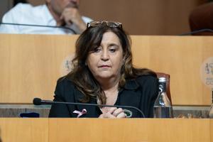 PADDUC : L’adaptation de la Loi Elan dans les communes littorales en matière d'urbanisation fait débat PADDUC : L’adaptation de la Loi Elan dans les communes littorales en matière d'urbanisation fait débat
