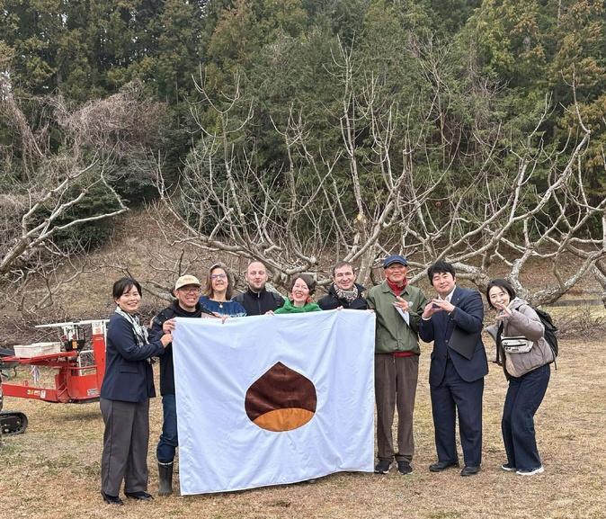 Châtaigne corse et japonaise, des liens qui se renforcent