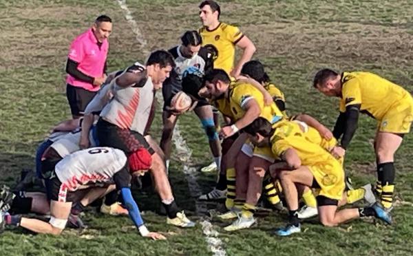 Rugby régional : Lucciana s'offre le Dauphin balanin