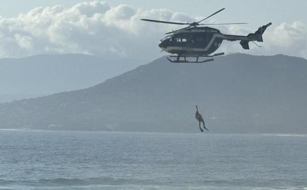 Golfe du Valinco : deux baigneurs en détresse secourus au large du Capu Laurosu