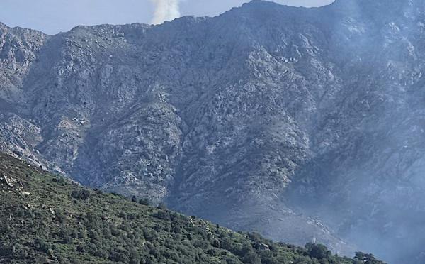 Pioggiola : le feu a parcouru 5 hectares sous le mont San Parteo