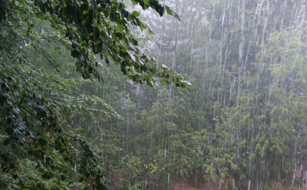 Météo : les cours d'eau de la Corse-du-Sud sous surveillance