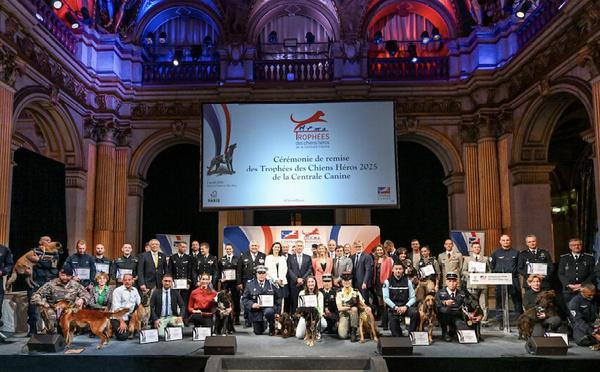 Thor, le chien héros d’Isolaccio-di-Fiumorbu qui a sauvé son maître, récompensé à Paris