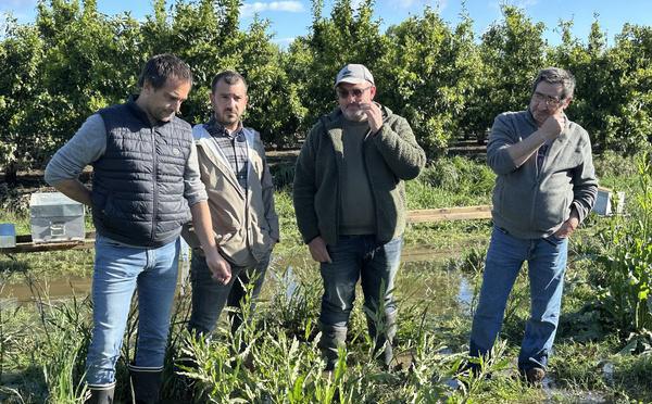 Crues du Golo : la colère monte chez les agriculteurs