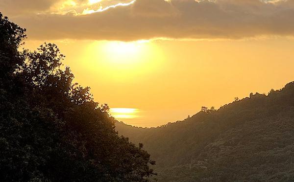 U tempu in Corsica