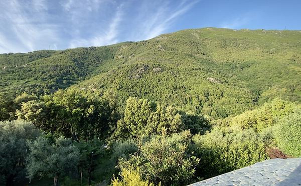 U tempu in Corsica