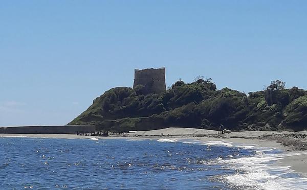 U tempu in Corsica