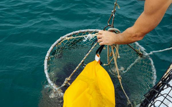 Limitation du chalutage de fond : les pêcheurs corses redoutent une décision "injuste" 