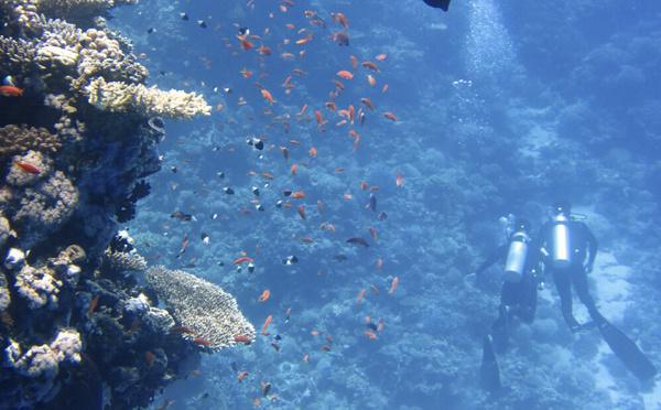 Plongée en Corse : après plusieurs accidents, l’État renforce la prévention cet été