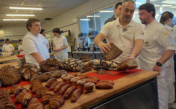 Réforme du financement de l’apprentissage : moins d’aides, mais toujours autant de contrats en Corse