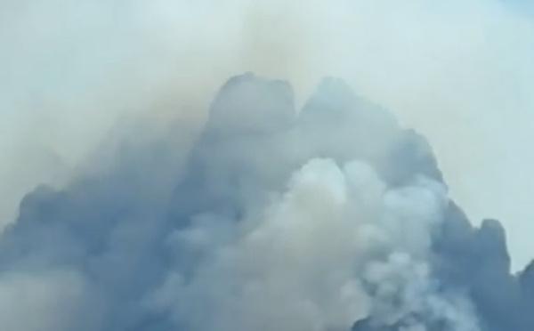 L'incendie de Quenza a déjà parcouru près de 120 hectares