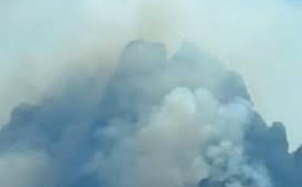 Incendie de Quenza : 170 hectares brûlés, le feu est stabilisé