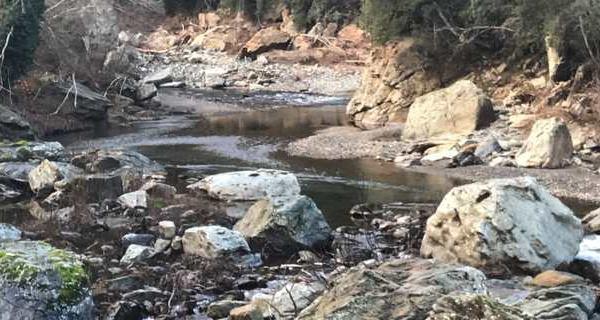 Canicule en Corse : “Ne vous baignez pas si la rivière dépasse 30°C”, prévient Antoine Orsini 