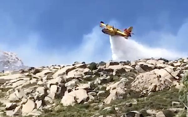 VIDÉO - Incendies : 30 hectares détruits par le feu à Calasima