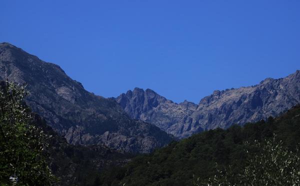 U tempu in Corsica