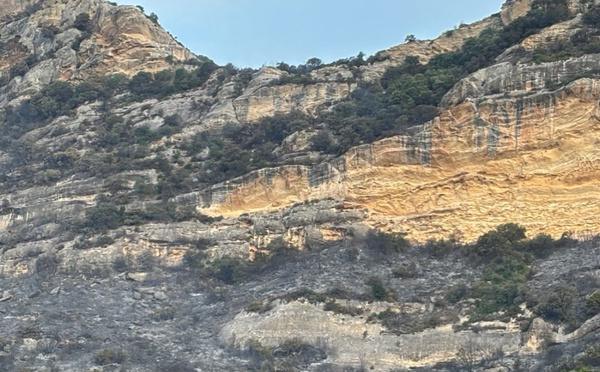 Incendies dans le Nebbiu : plusieurs domaines viticoles touchés, une enquête ouverte 