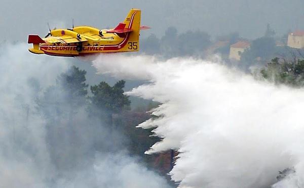 Oletta : l'incendie a parcouru 50 hectares de végétation