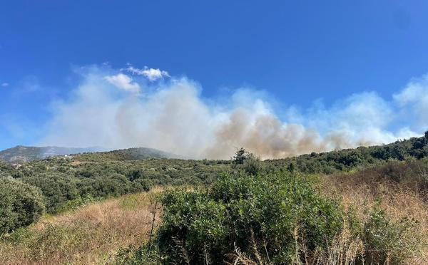 Oletta : l'incendie fixé après avoir ravagé 35 hectares