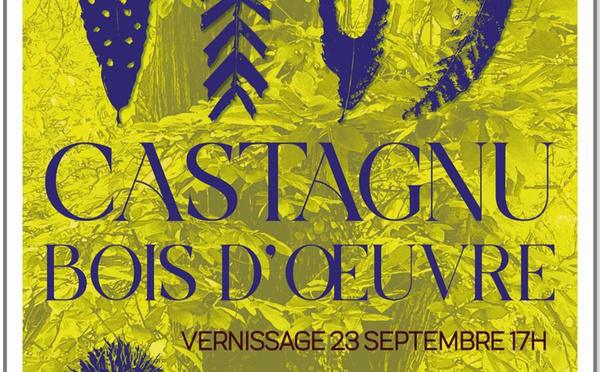  Corte - « Castagnu, bois d’œuvre » une expo à voir jusqu'au 5 octobre