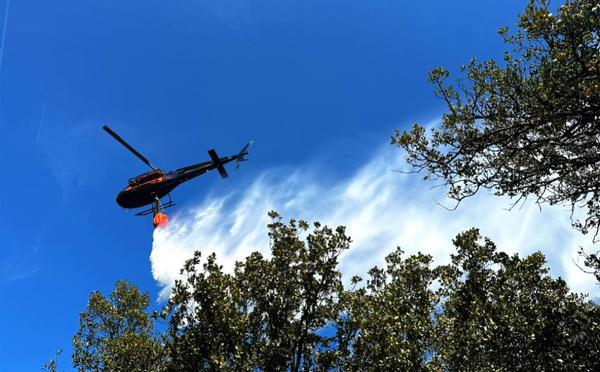 Afà : un incendie rapidement maîtrisé strada di i mulini