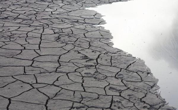 Sécheresse : la situation continue de se détériorer dans l’Extrême-Sud de la Corse