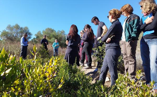 Des acteurs du végétal réunis à Portivechju pour relancer la filière « Corsica Grana »