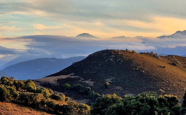 U tempu in Corsica