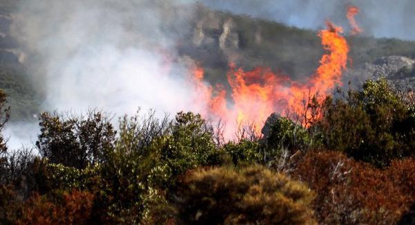Incendies : hangar agricole détruit à Lucciana, 2,5 hectares brûlés à Vescovato, reprise à Bisinchi