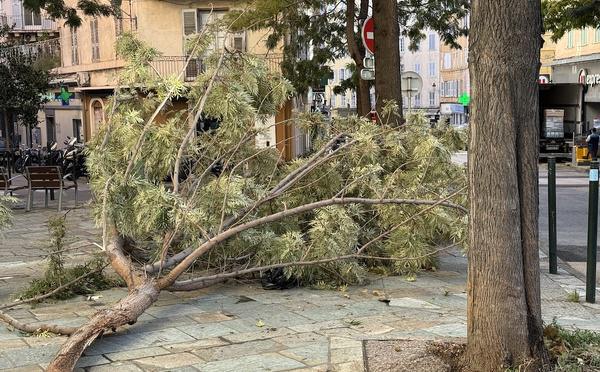 Bastia : des dégâts liés au vent dans la nuit de lundi à mardi