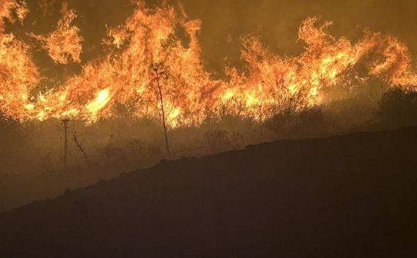 Tempête Benjamin : 17 feux de forêt en Haute-Corse, dont 14 d’origine malveillante
